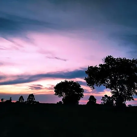 Casa Vacas *
