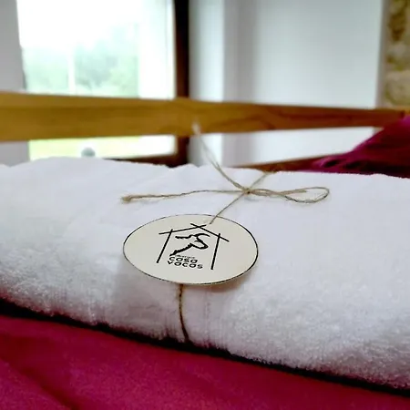 Casa Vacas Auberge de jeunesse *